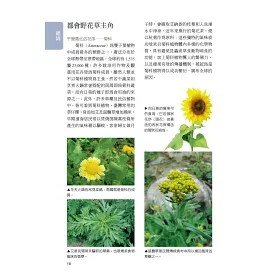 博客來 都會野花野草圖鑑 增訂版 博客來 都會野花野草圖鑑 增訂版