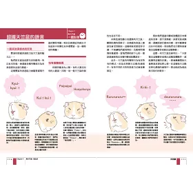 博客來 天竺鼠完全飼養手冊 日常照顧 互動相處 健康管理一本掌握 博客來 天竺鼠完全飼養手冊 日常照顧 互動相處 健康管理一本掌握