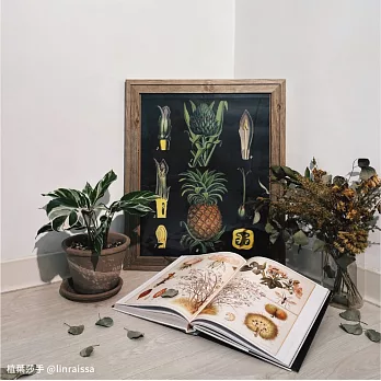 復古植物藝術海報