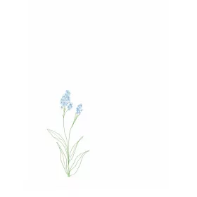 博客來 不要忘記我 我與阿茲海默阿嬤的公路逃亡之旅 博客來 不要忘記我 我與阿茲海默阿嬤的公路逃亡之旅