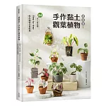 超擬真！手作黏土觀葉植物：34款人氣品種，Step by step 捏出風格美葉植栽