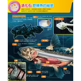 博客來 魚類百科圖鑑 博客來 魚類百科圖鑑