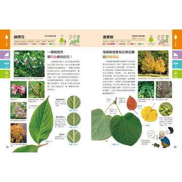 植物各部分儿童着色页