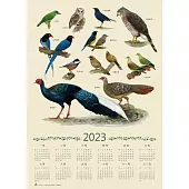 台灣特有鳥類手繪年曆海報