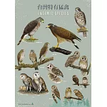 台灣特有猛禽手繪海報