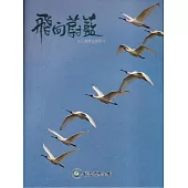 飛向蔚藍：台江鳥類生態影片[USB隨身碟]