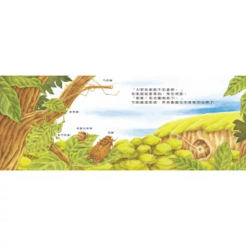 《蟲蟲捉迷藏:沒有沒有、沒有躲在這裡唷》福澤由美子|捉迷藏繪 《蟲蟲捉迷藏:沒有沒有、沒有躲在這裡唷》福澤由美子|捉迷藏繪