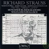 Richard Strauss Symphonie fur Blaser
