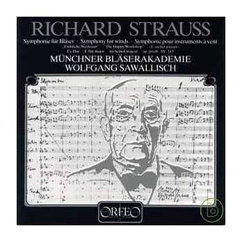 Richard Strauss Symphonie fur Blaser