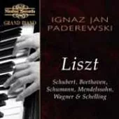 Ignaz Jan Paderewski / Grand Piano: Ignaz Jan Paderewski plays Schubert, Beethoven, Schumann, Mendelssohn, Wagner & Schelling