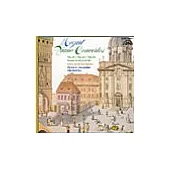 Badura-Skoda；Prague Chamber Orchestra / Mozart: Piano Concertos No.21,22,24