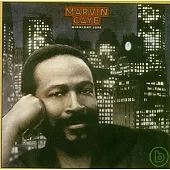 Marvin Gaye / Midnight Love