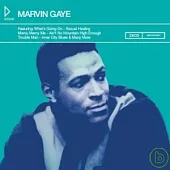 Marvin Gaye / Icons