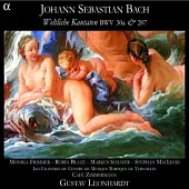 Bach: Weltliche Kantaten BWV 30a & 207 / Cafe Zimmermann, Leonhardt(Conductor)