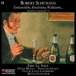 Schumann: Klavierwerke & Kammermusik VI / Le Sage, Braley, Salque, Julien-Laferriere, Schneider