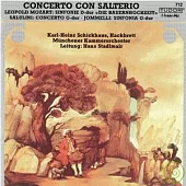 CONCERTO CON SALTERIO/Leopold Mozart, Salulini, Jommelli, Marcello / Ohlenroth,Schickhaus