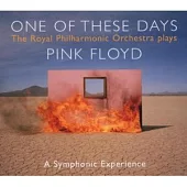 One of These Days: The Music of Pink Floyd / David Palmer / Royal Philharmonic Orchestra