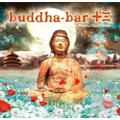 BUDDHA BAR VOL.13 (2CD)