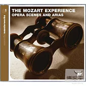 Essential Masterworks - V.A. / The Mozart Experience