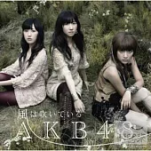 AKB48 / 風正在吹〈Type-B〉(CD+DVD)