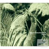 Bach Revisited / Various