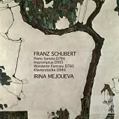 Mejoueva plays Schubert complete piano works Vol.2 /D784,935,760,946 / Mejoueva (2CD)