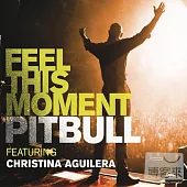 Pitbull Feat. Christina Aguilera / Feel This Moment