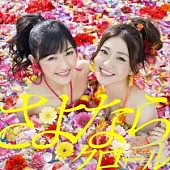 AKB48 / 再見自由式 (日本進口版 Type-A, CD+DVD+握手會參加券)