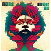 Incognito / Amplified Soul (2Vinyl)