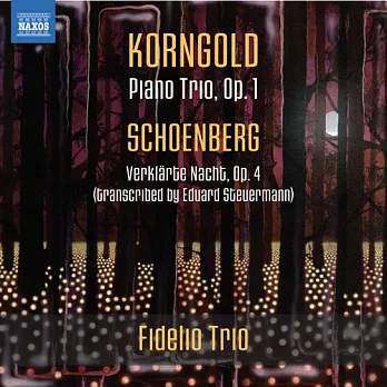 KORNGOLD: Piano Trio; SCHOENBERG: Verklarte Nacht (arr. for piano trio) / Fidelio Trio