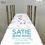 Satie: Slow Music, Solo Piano Music (2LP)
