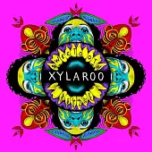 Xylaroo / Sweetooth (LP)