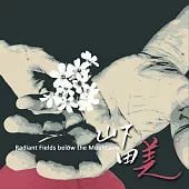 陳永淘 / 山下田美 (CD)