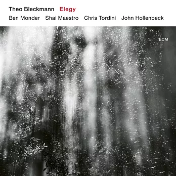 Theo Bleckmann / Elegy (CD)