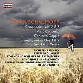 埃爾文·舒爾霍夫:第2&5號交響曲 / 彼德森弦樂四重奏團,榮恩(長笛),穆克(小提琴) (6CD)