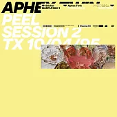 Aphex Twin / Peel Session 2 (進口版LP黑膠唱片)
