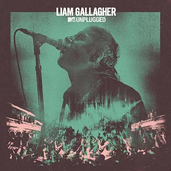 連恩蓋勒格 / MTV Unplugged 限量白底薄荷綠濺色彩膠 (LP)
