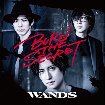 WANDS / BURN THE SECRET CD+DVD台灣初回限定盤