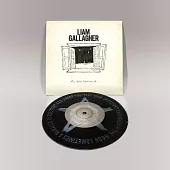 Liam Gallagher / All You’re Dreaming Of (7"Vinyl)