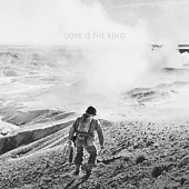 Jeff Tweedy / Love Is The King