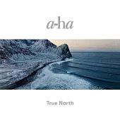 a-ha合唱團 / 航向北方 (2LP黑膠唱片)
