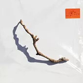 PJ Harvey / I Inside the Old Year Dying (進口版LP黑膠唱片)