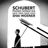 以色列鋼琴家夏.瓦斯納演奏舒伯特晚期鋼琴奏鳴曲 (2CD)