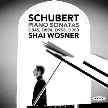 以色列鋼琴家夏．瓦斯納演奏舒伯特晚期鋼琴奏鳴曲 (2CD)