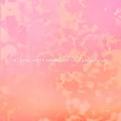 Yellowcard & Hammock / A Hopeful Sign (進口版LP黑膠唱片)