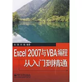 Excel2007與VBA編程從入門到精通