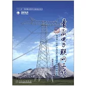 青藏電力聯網工程·專業卷：柴達木-拉薩±400kv直流輸電工程風采紀實
