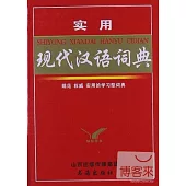 實用現代漢語詞典