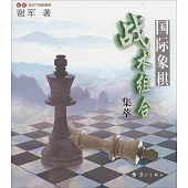 國際象棋戰術組合集萃