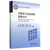 中國中小企業發展報告2014